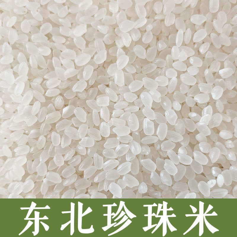 营口市鲅鱼圈区委书记的履职之道