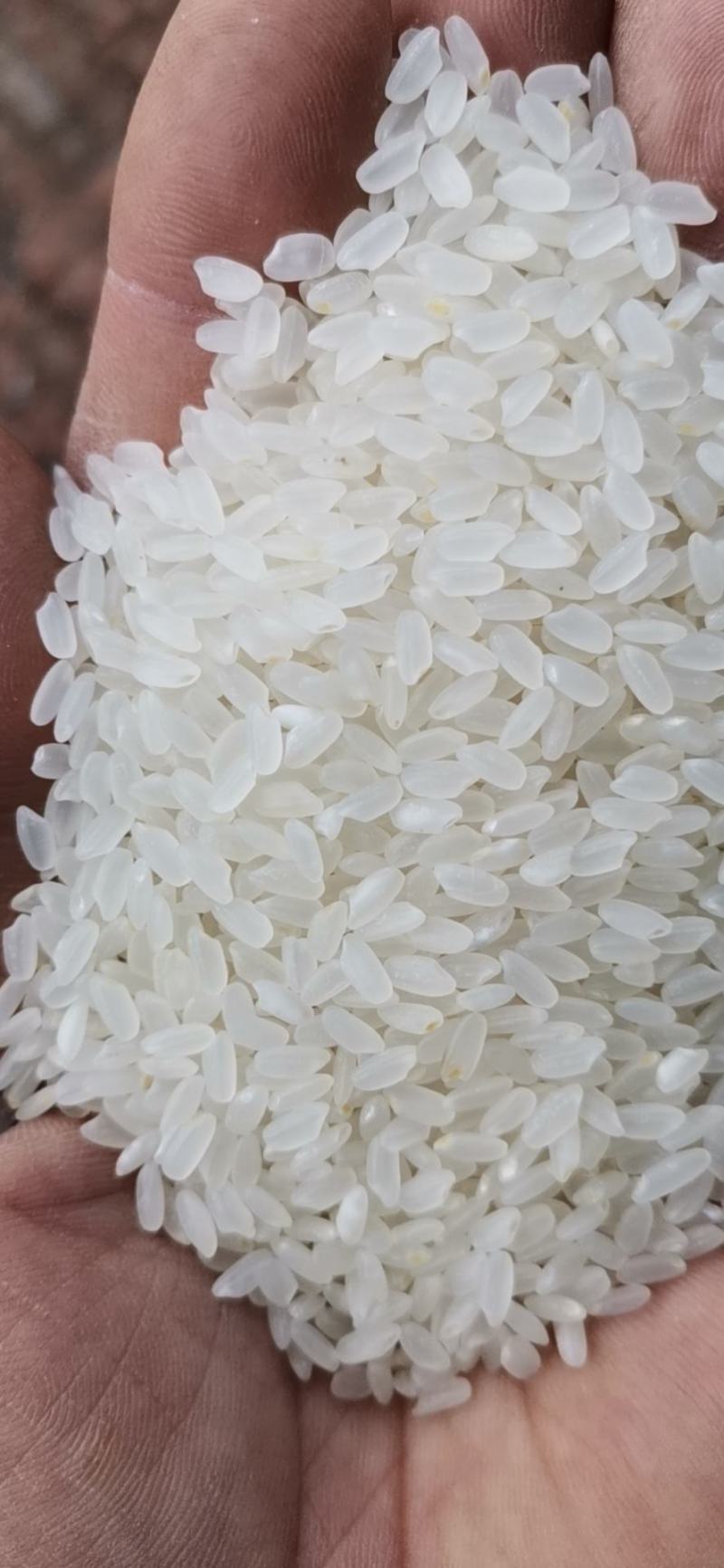 营口市鲅鱼圈区的新领导带来了哪些变化？