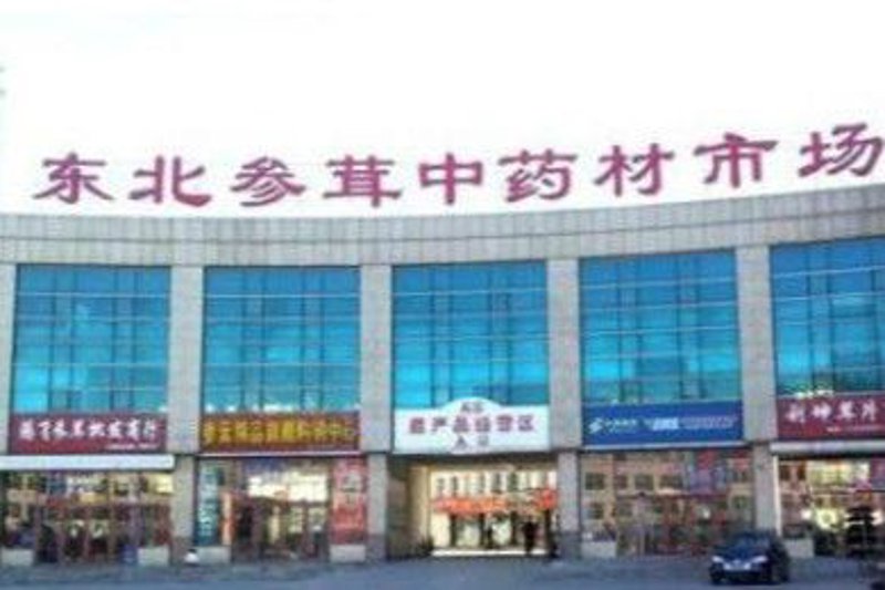 营口市鲅鱼圈区大风预警：影响与准备