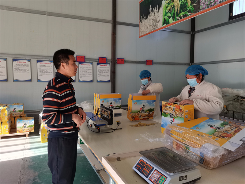 如何解读营口市鲅鱼圈区委书记的职能与作用？