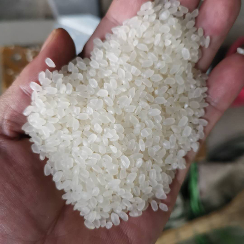 营口市鲅鱼圈区发布大风预警：如何做好安全防护？